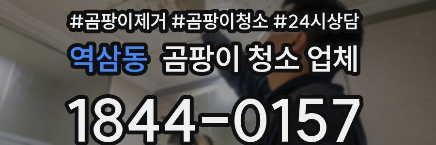 역삼동 곰팡이 청소 업체