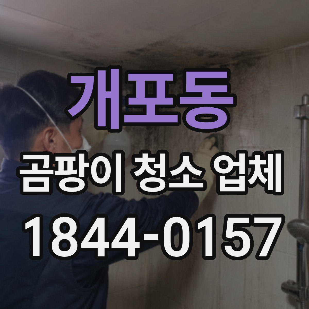 개포동 곰팡이 청소 업체