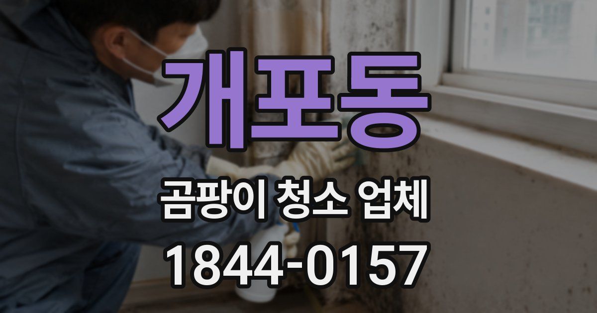 개포동 곰팡이 청소 업체