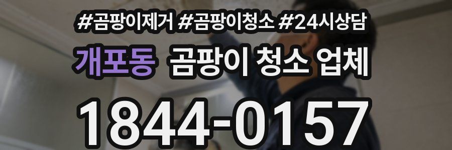 개포동 곰팡이 청소 업체