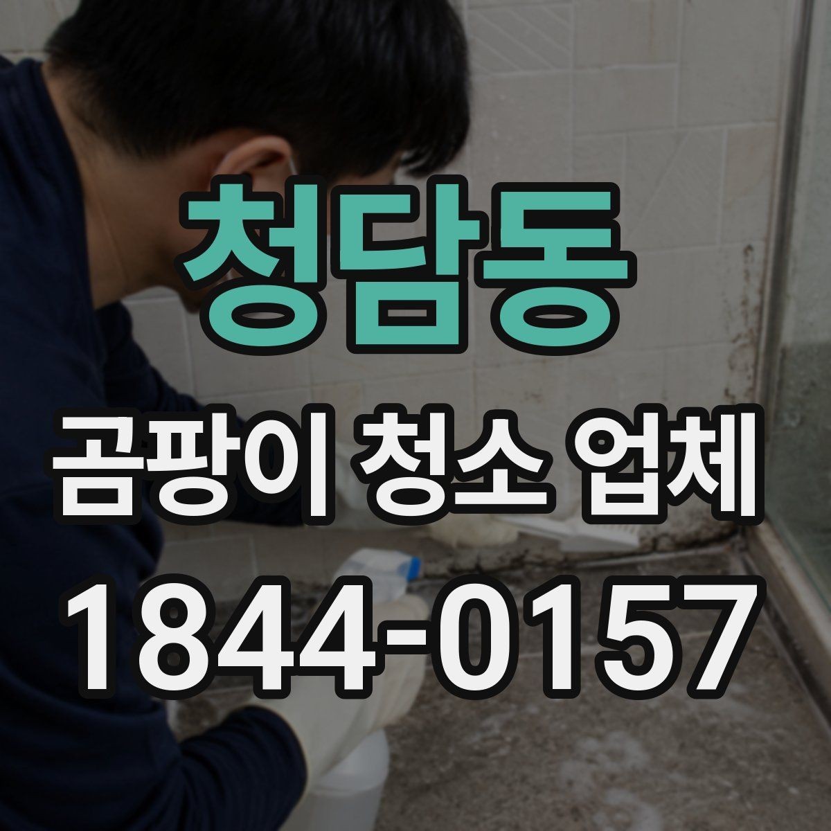 청담동 곰팡이 청소 업체 벽지·실리콘 표면의 특징 제거 방식이 다른 이유