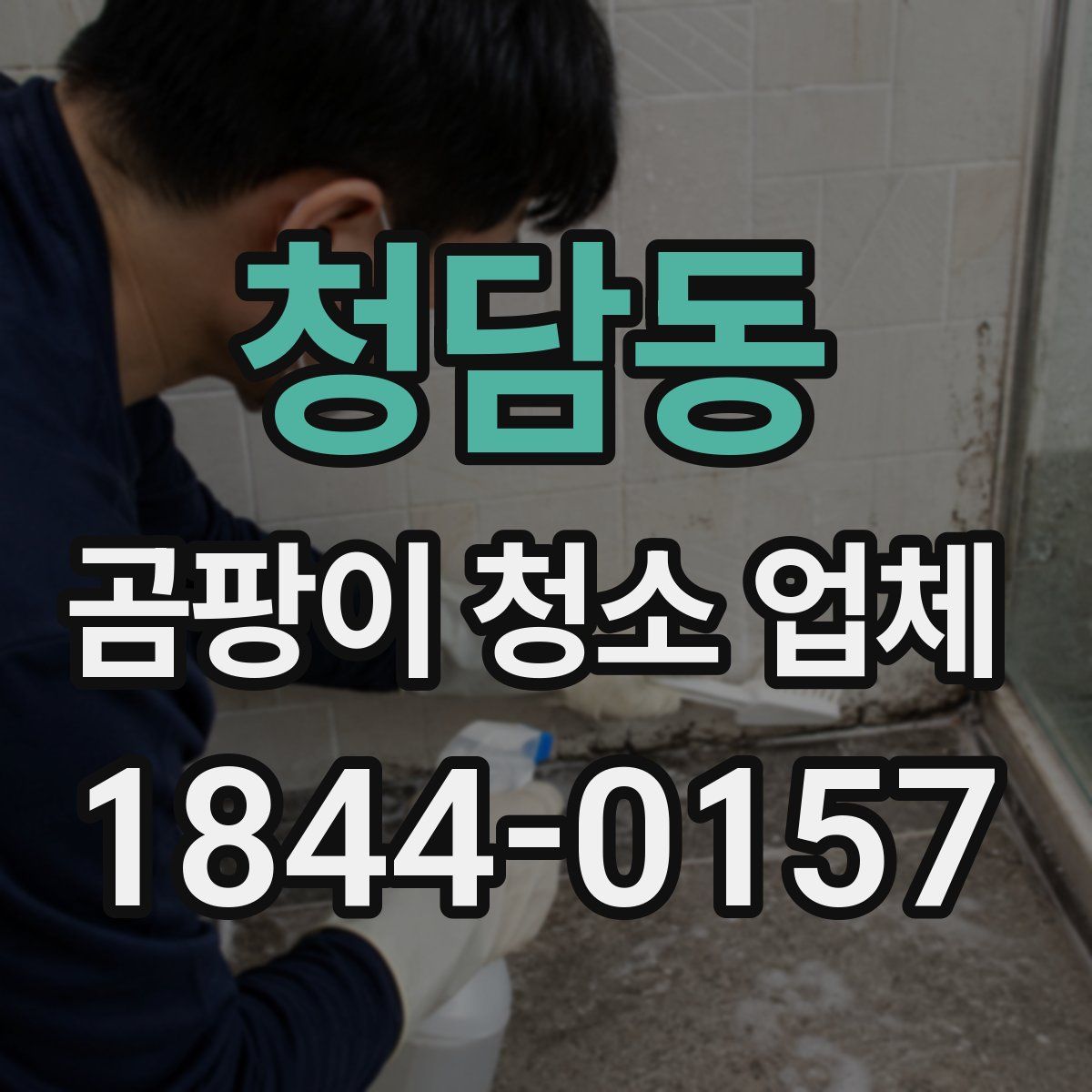 청담동 곰팡이 청소 업체