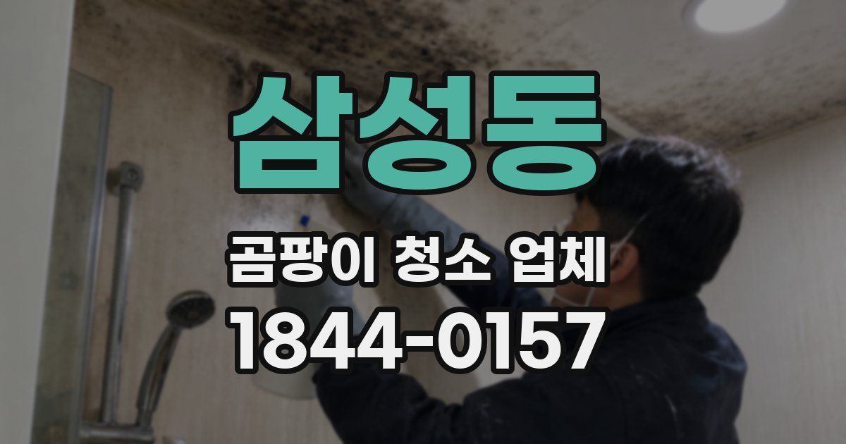 삼성동 곰팡이 청소 업체
