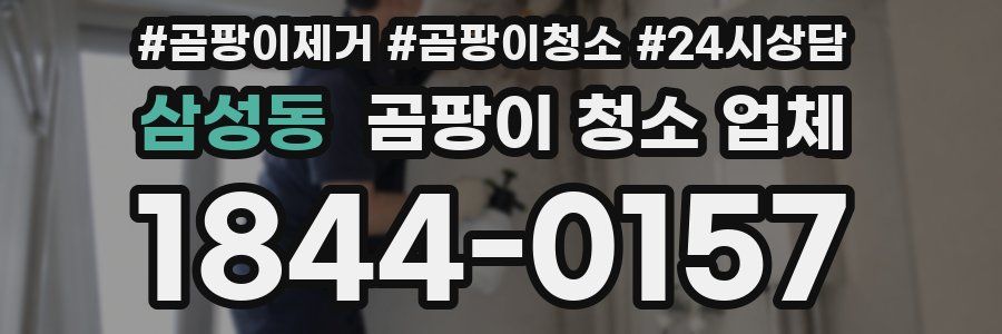 삼성동 곰팡이 청소 업체