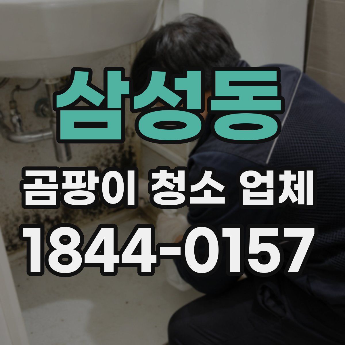 삼성동 곰팡이 청소 업체