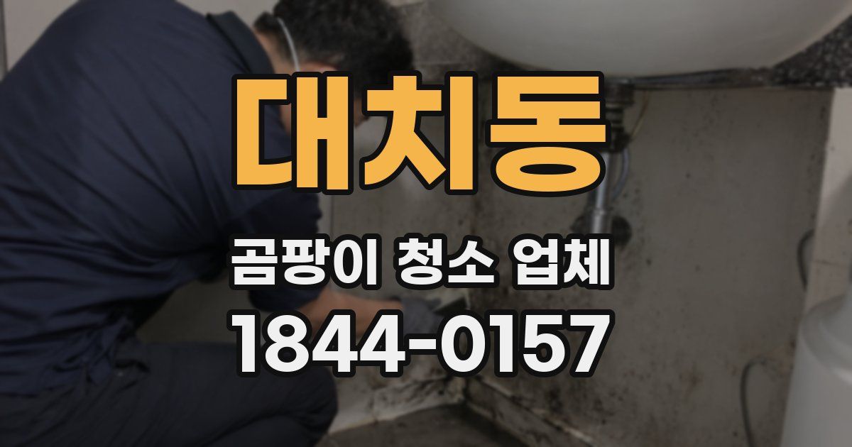 대치동 곰팡이 청소 업체