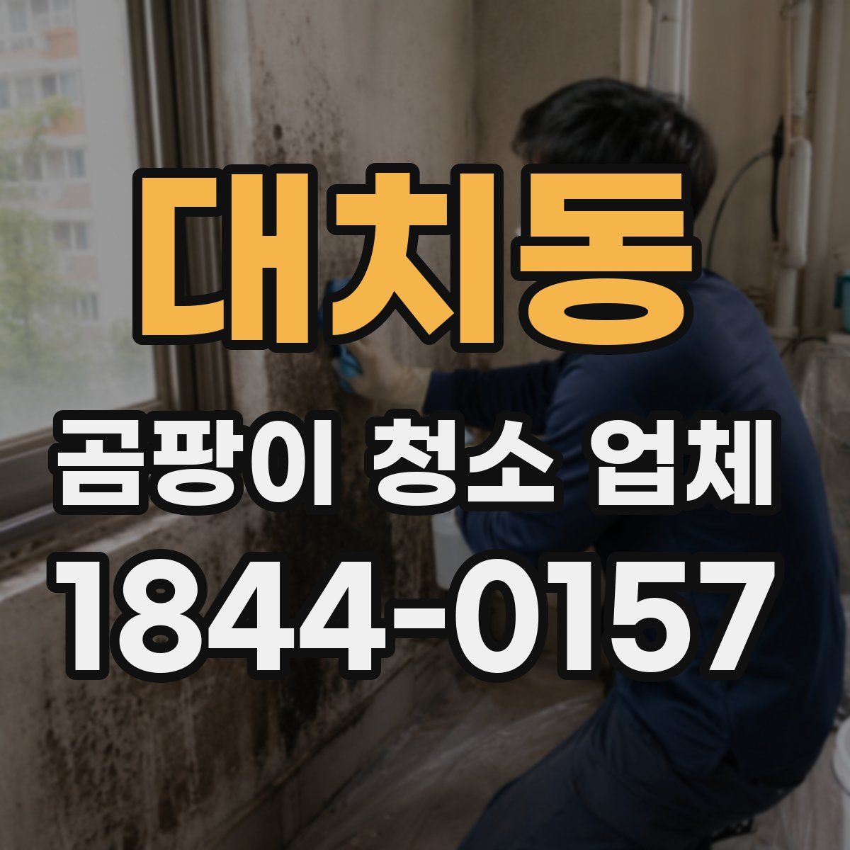 대치동 곰팡이 청소 업체