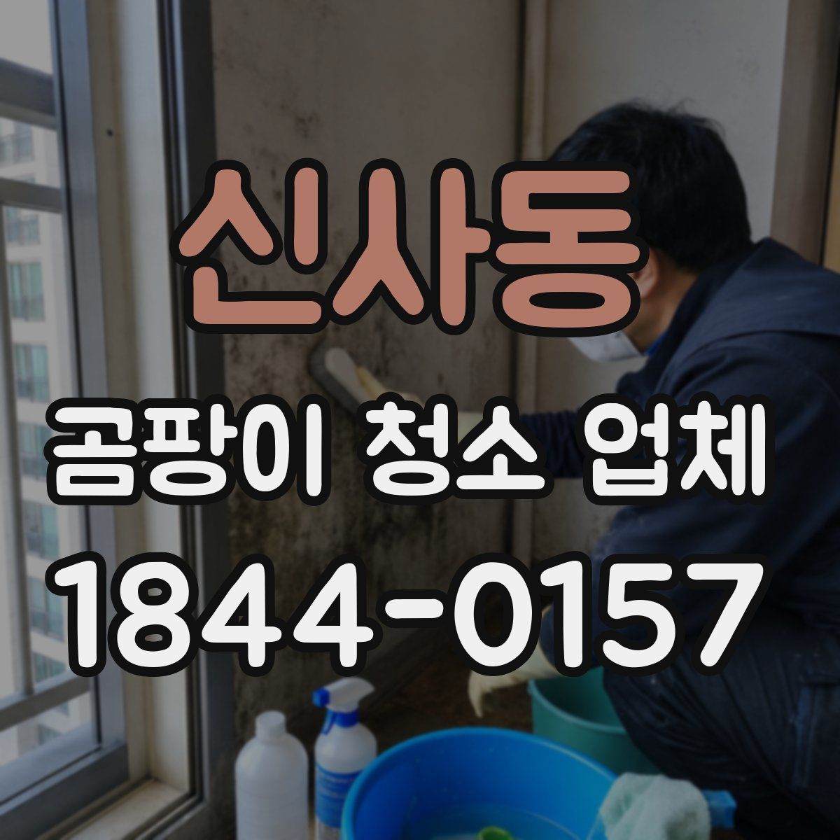 신사동 곰팡이 청소 업체