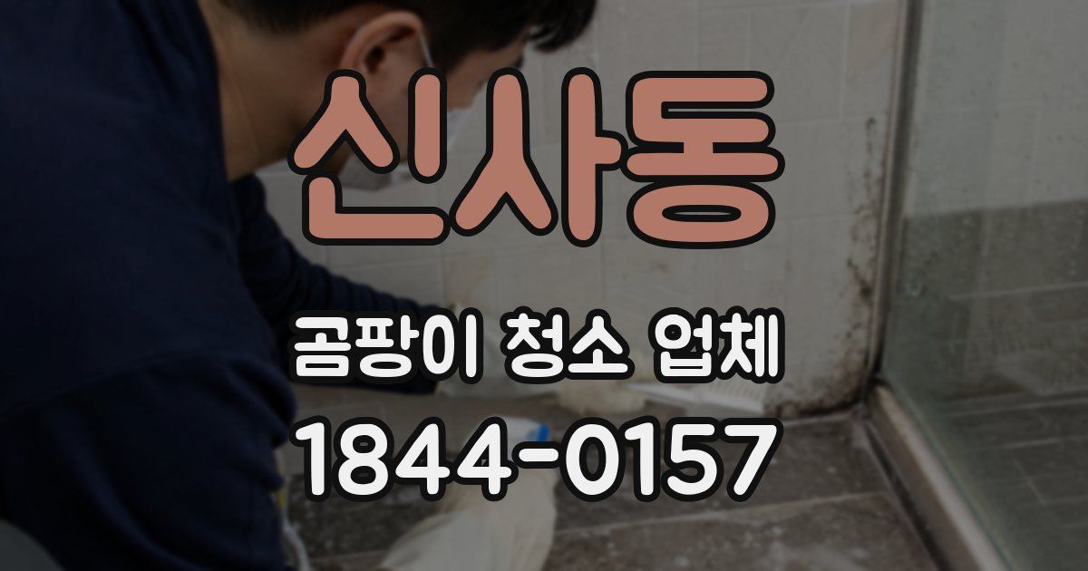 신사동 곰팡이 청소 업체