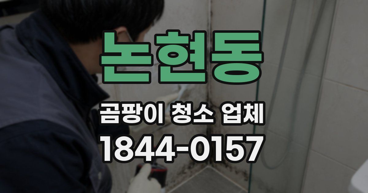 논현동 곰팡이 청소 업체