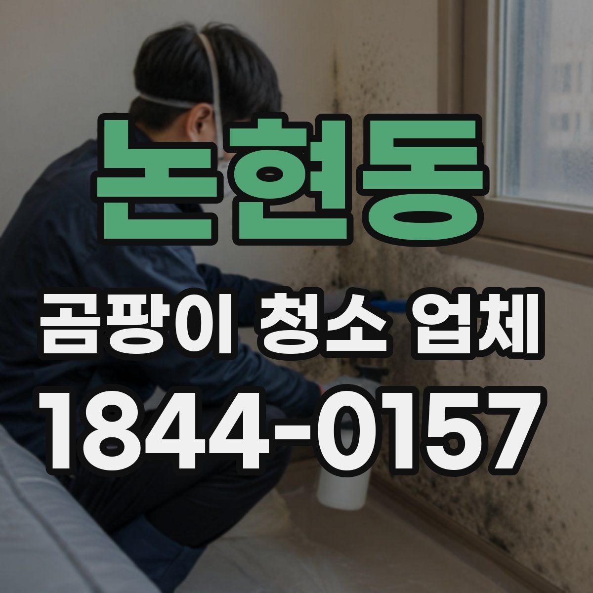 논현동 곰팡이 청소 업체