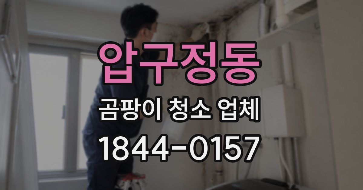 압구정동 곰팡이 청소 업체