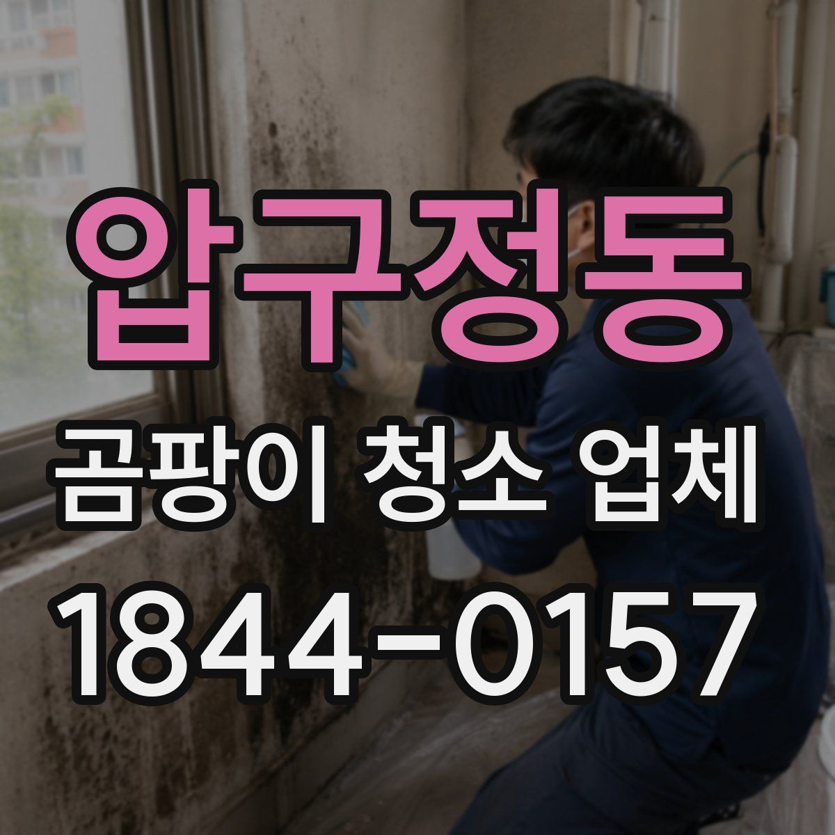 압구정동 곰팡이 청소 업체