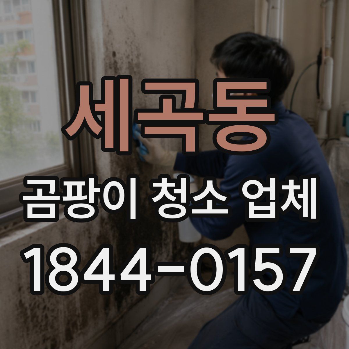 세곡동 곰팡이 청소 업체