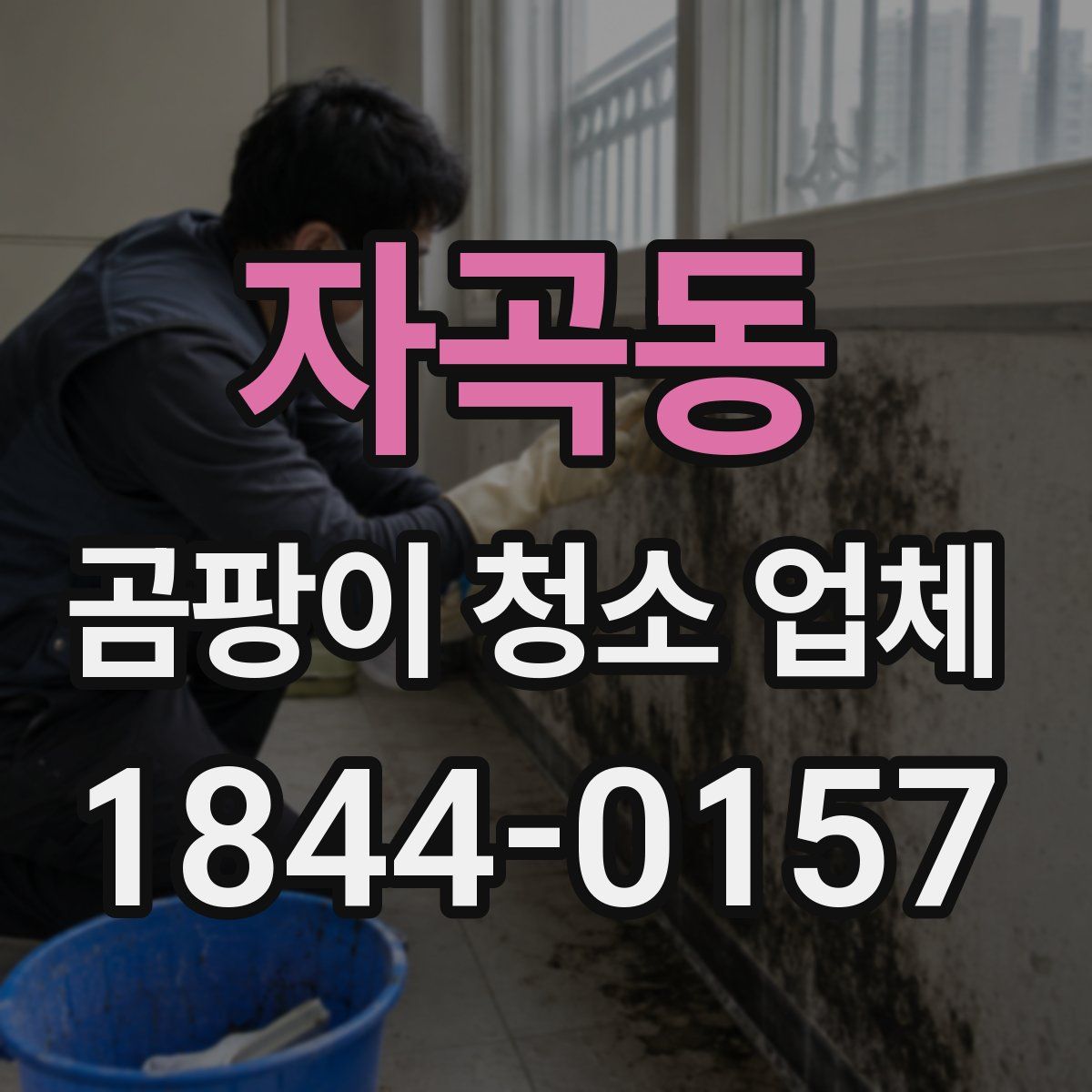 자곡동 곰팡이 청소 업체
