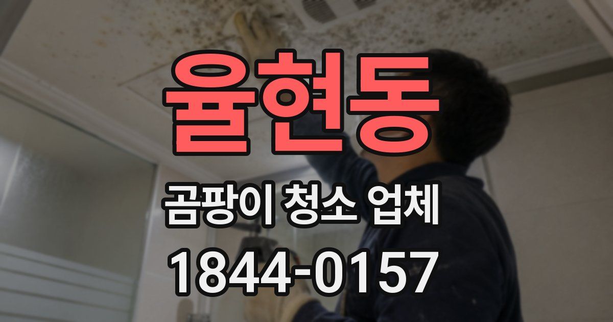 율현동 곰팡이 청소 업체