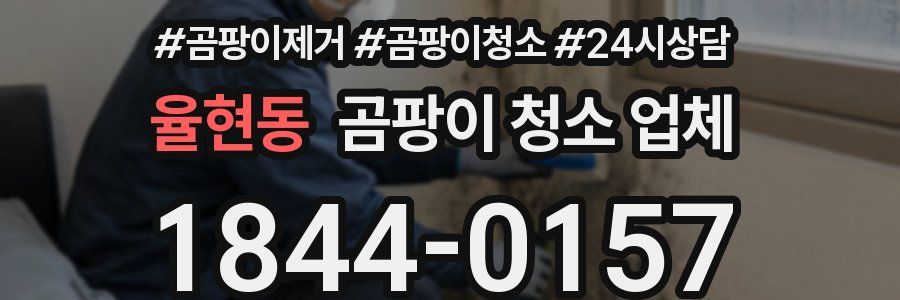 율현동 곰팡이 청소 업체