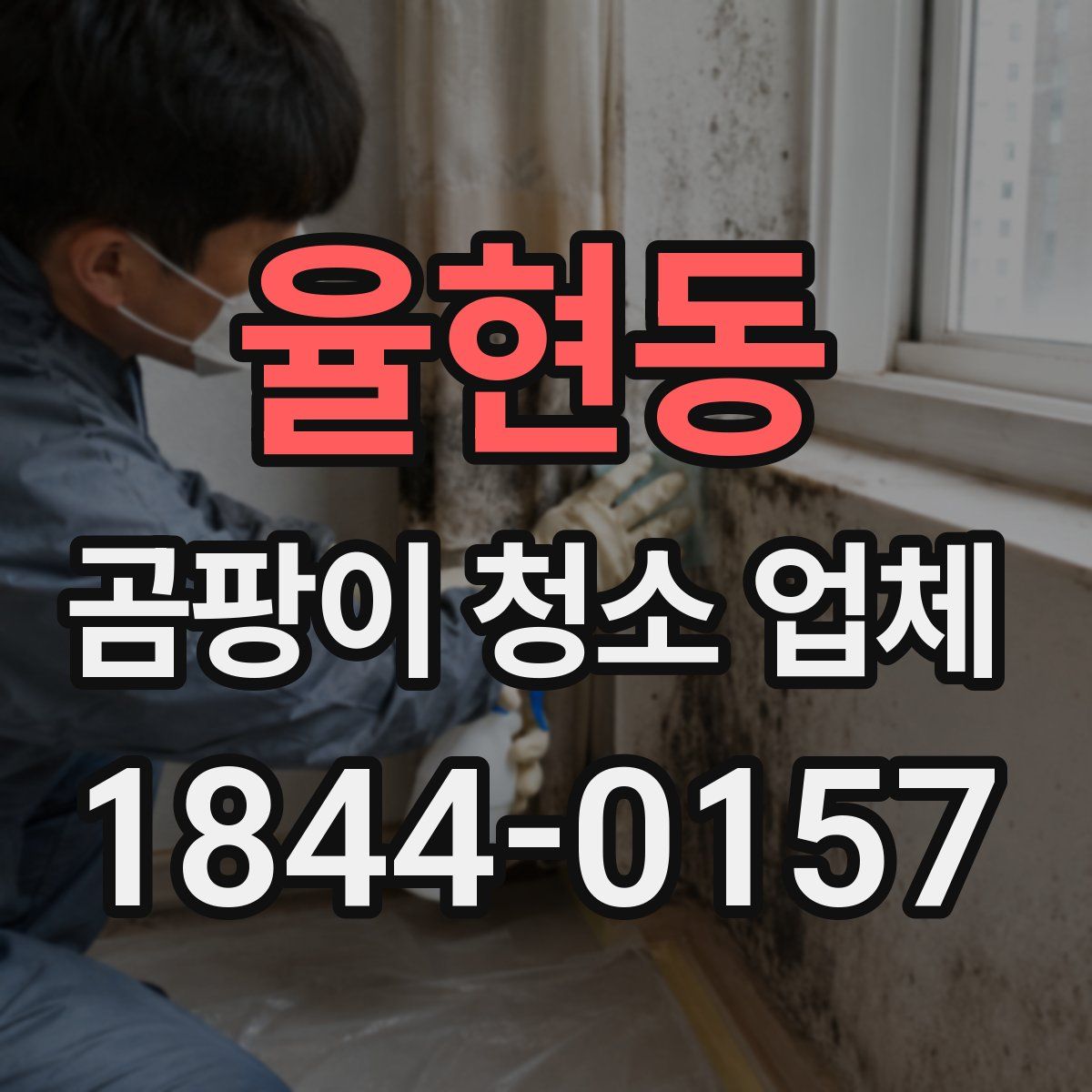 율현동 곰팡이 청소 업체