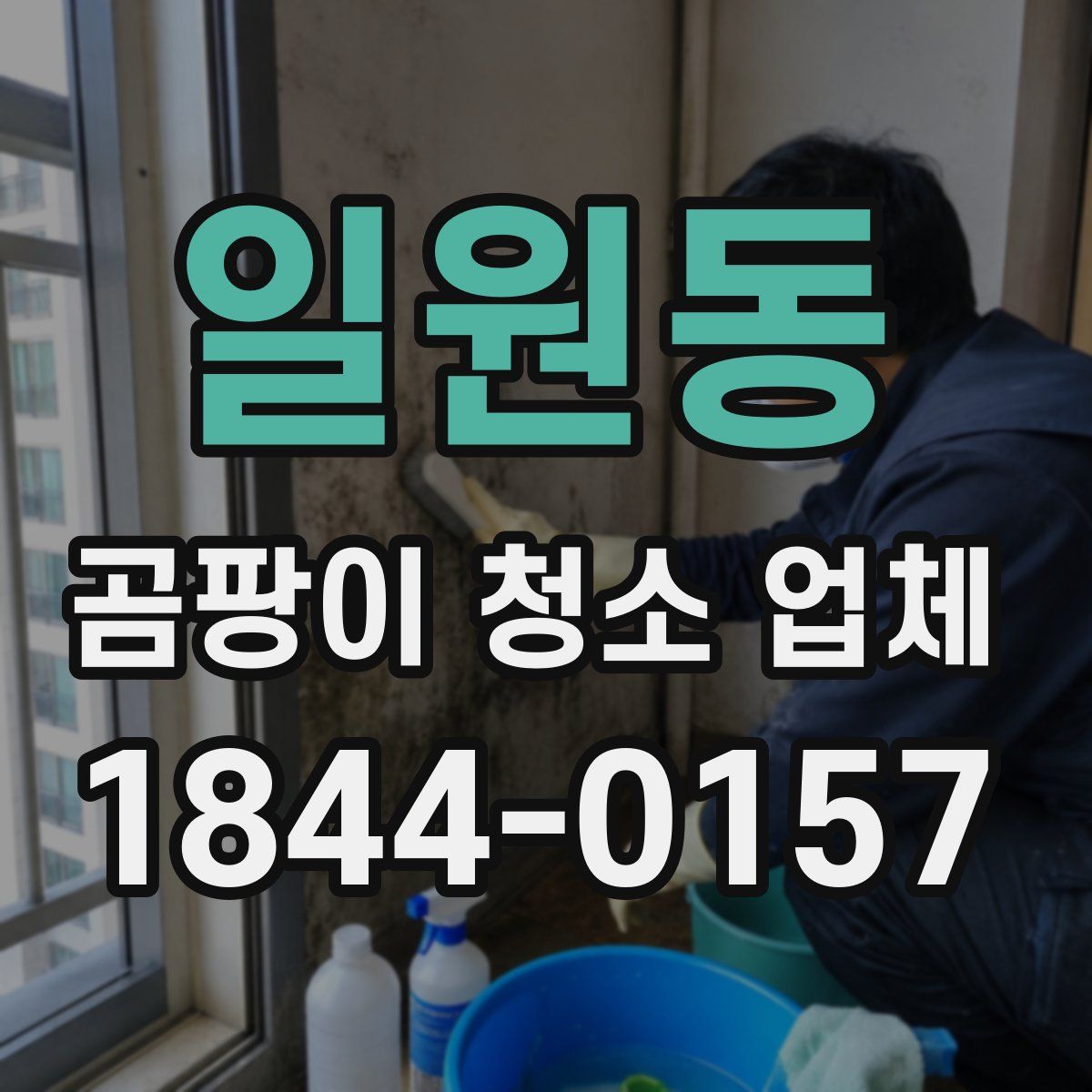 일원동 곰팡이 청소 업체