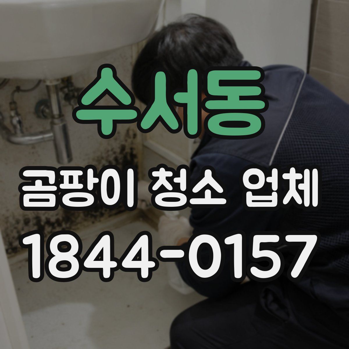 수서동 곰팡이 청소 업체