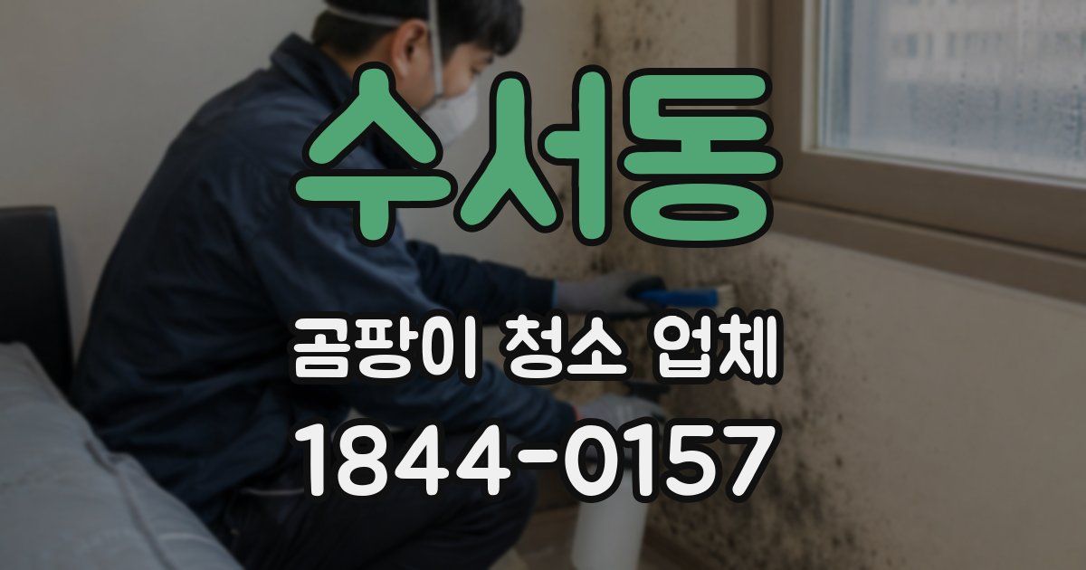 수서동 곰팡이 청소 업체