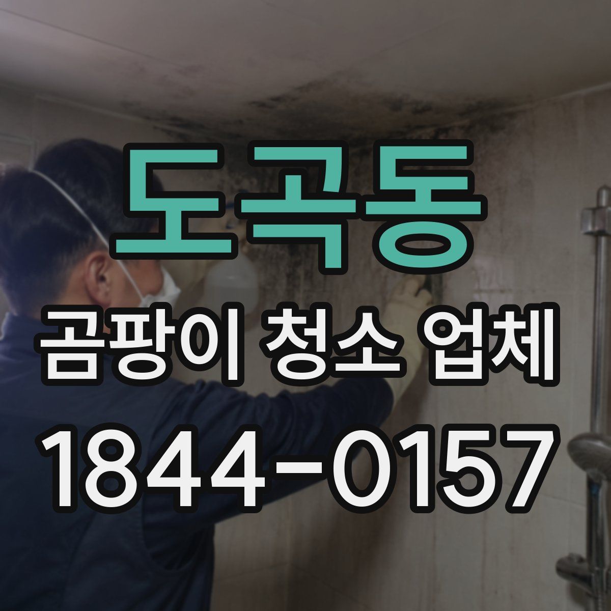 도곡동 곰팡이 청소 업체