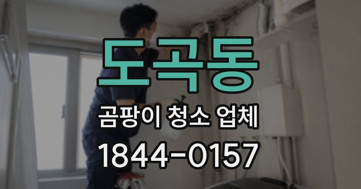 도곡동 곰팡이 청소 업체