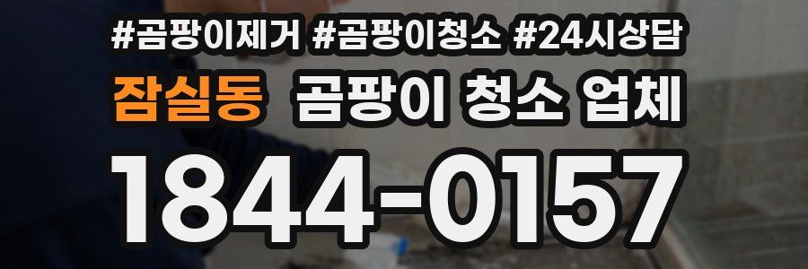 잠실동 곰팡이 청소 업체