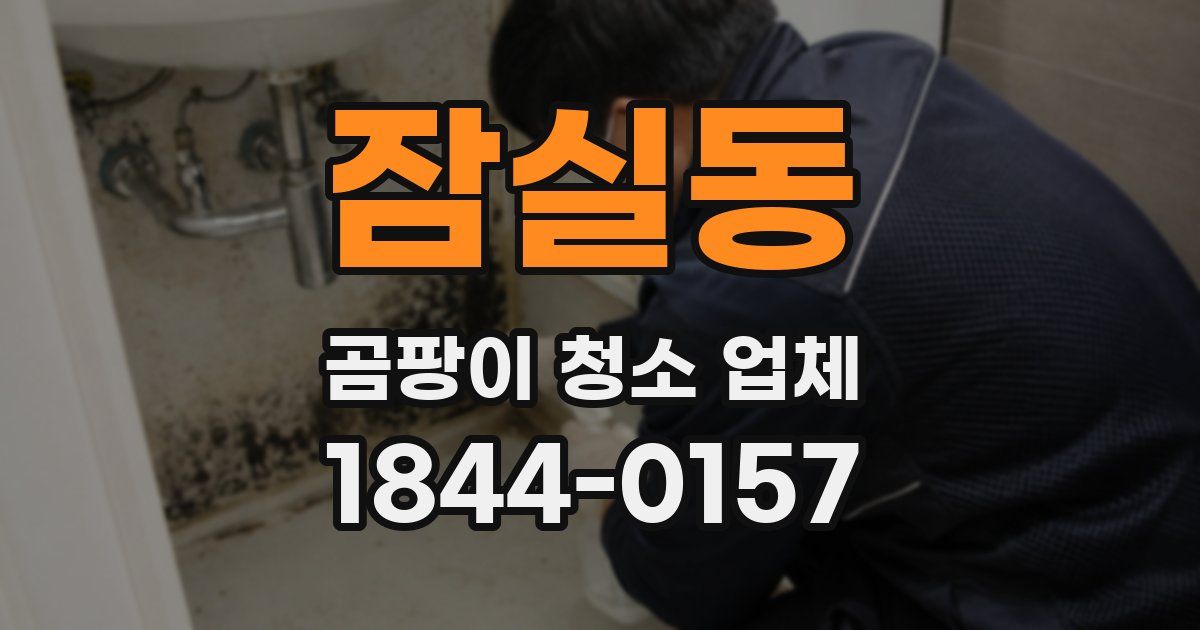 잠실동 곰팡이 청소 업체