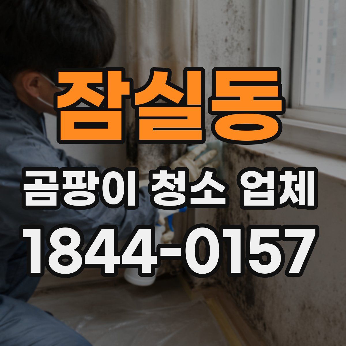 잠실동 곰팡이 청소 업체