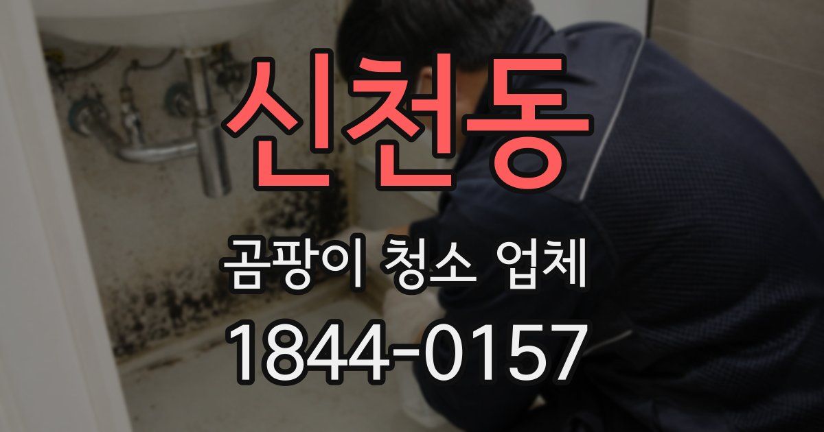 신천동 곰팡이 청소 업체