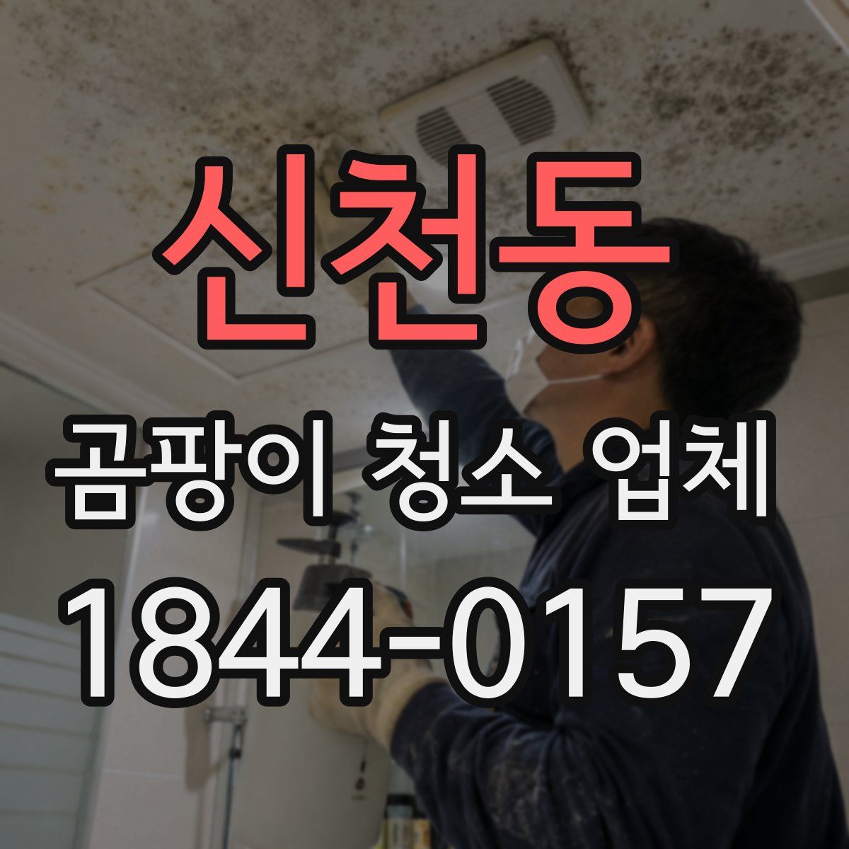신천동 곰팡이 청소 업체