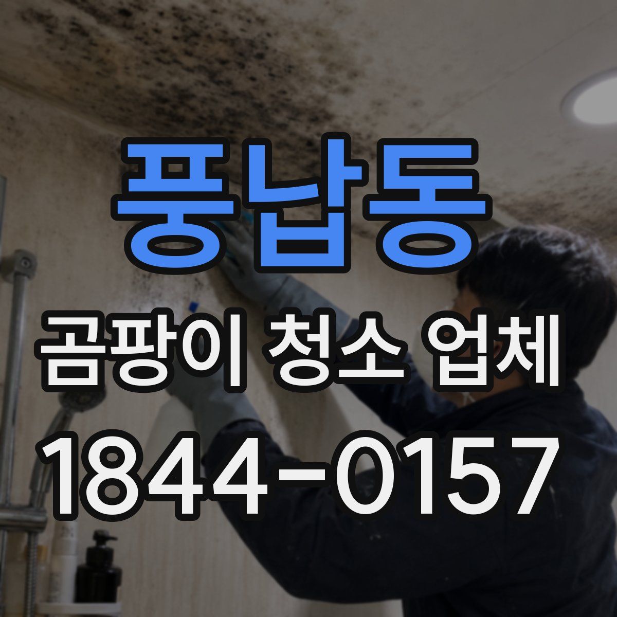 풍납동 곰팡이 청소 업체