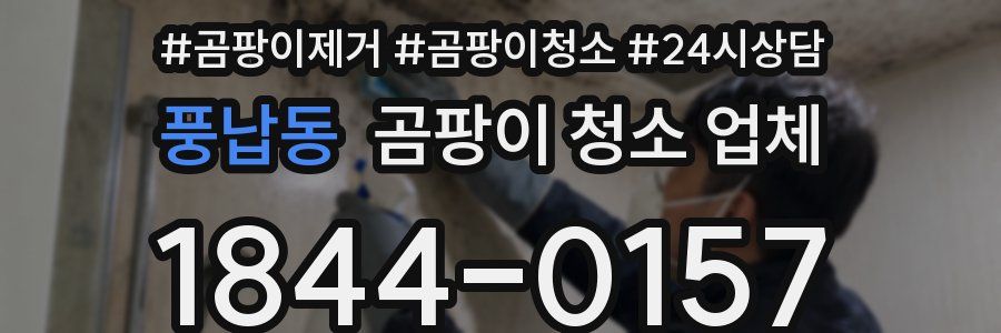 풍납동 곰팡이 청소 업체