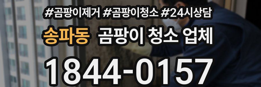 송파동 곰팡이 청소 업체