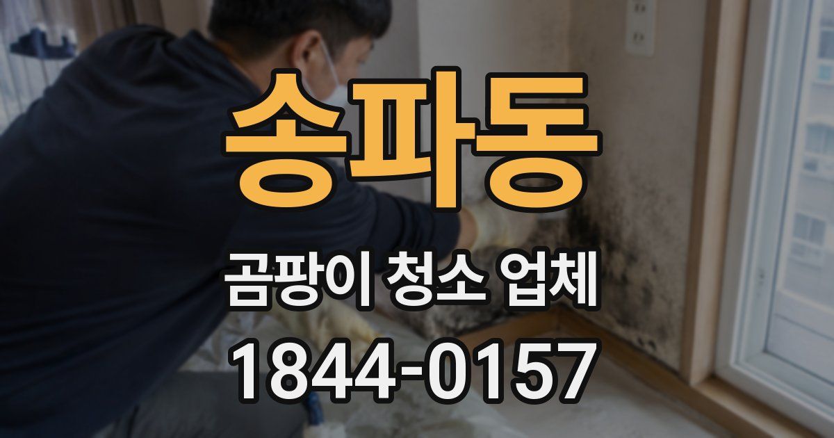 송파동 곰팡이 청소 업체