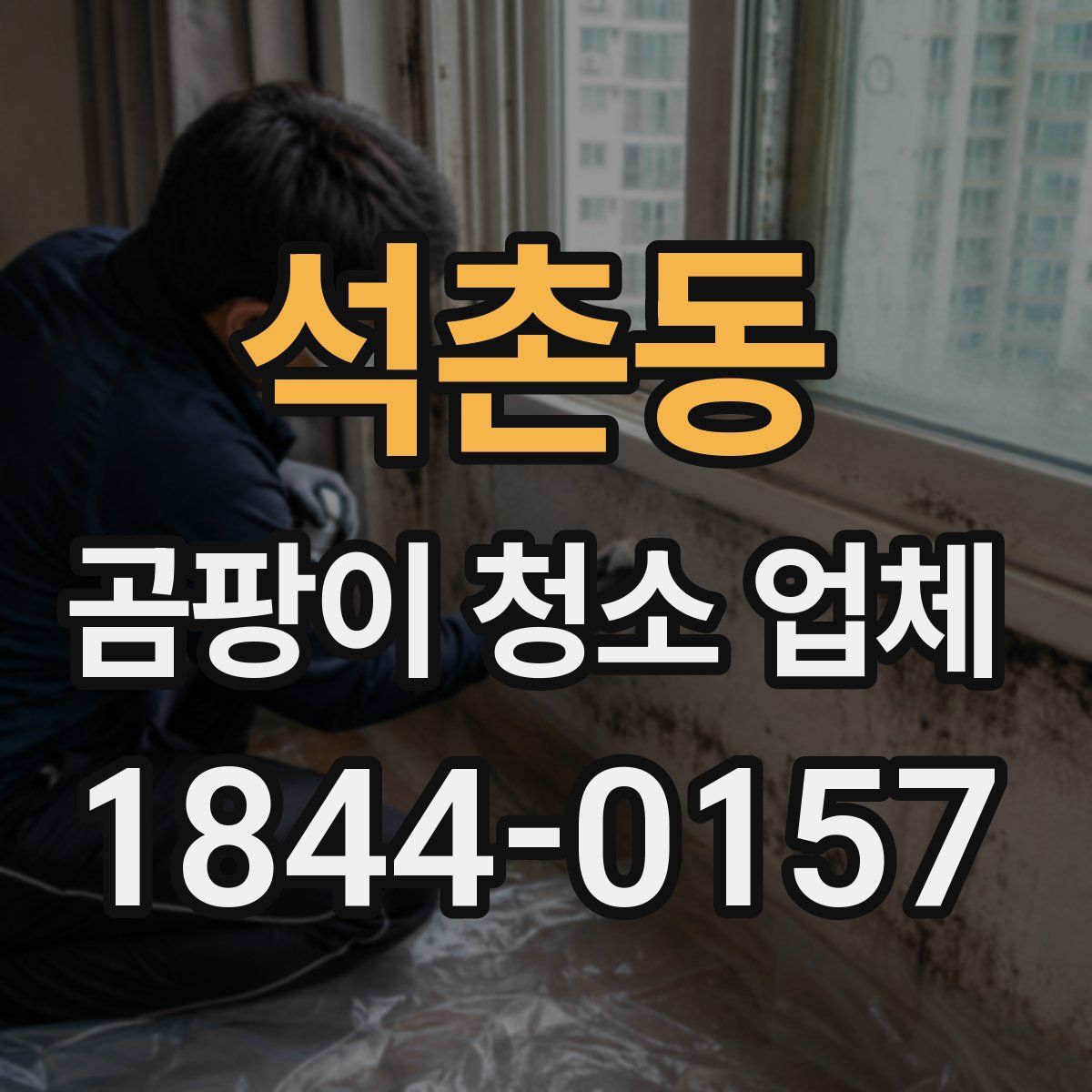 석촌동 곰팡이 청소 업체