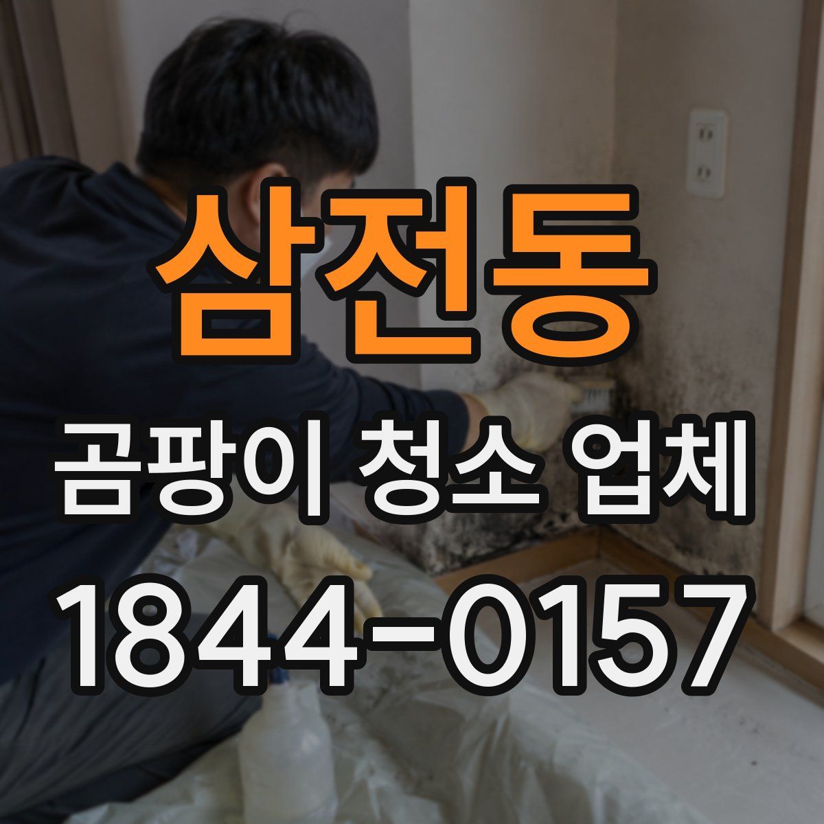 삼전동 곰팡이 청소 업체