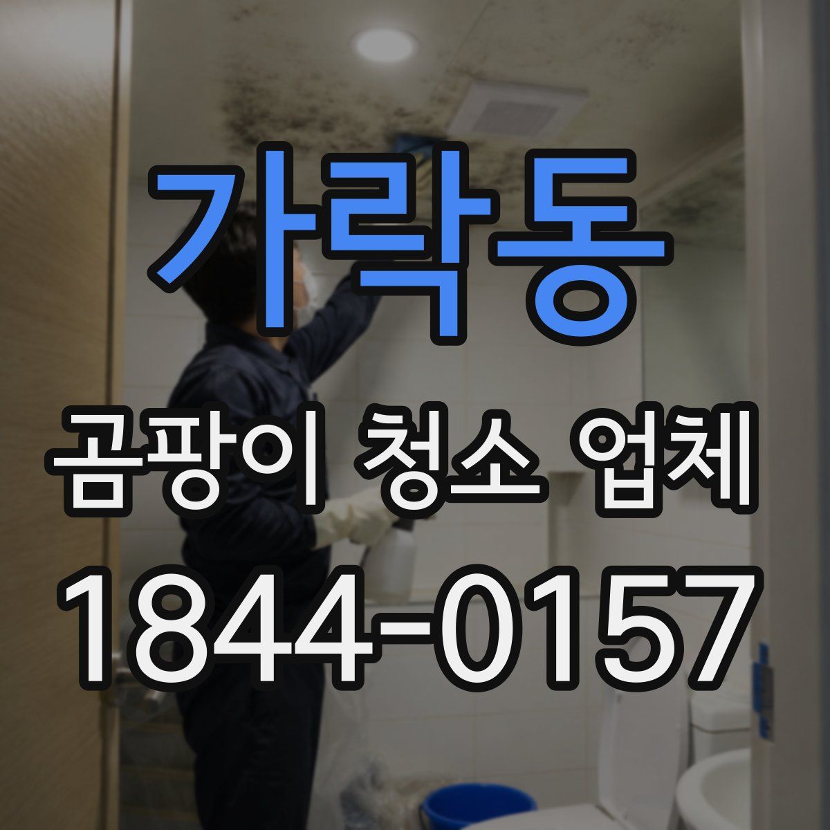 가락동 곰팡이 청소 업체