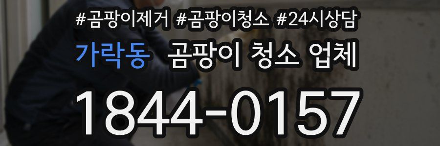 가락동 곰팡이 청소 업체
