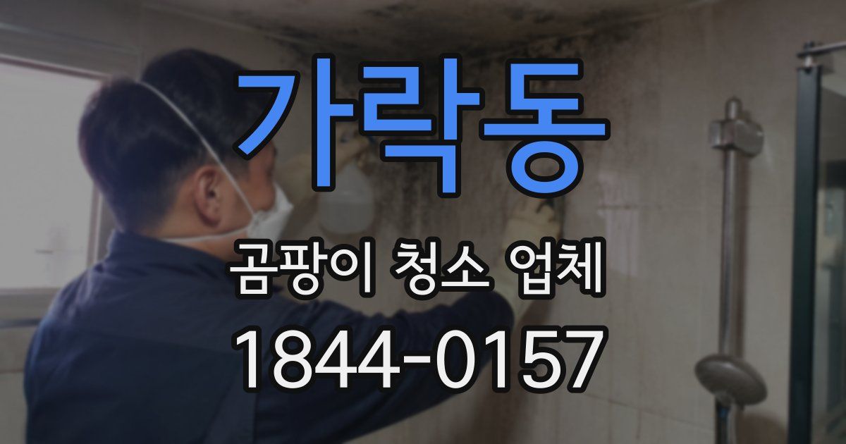가락동 곰팡이 청소 업체