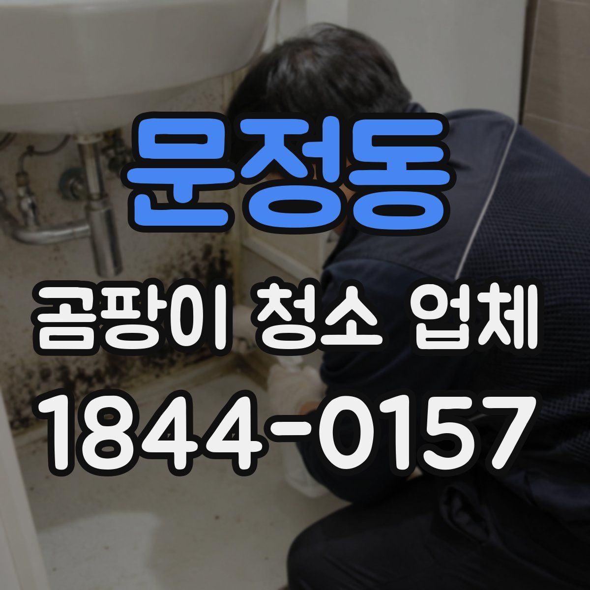 문정동 곰팡이 청소 업체