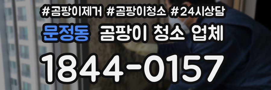문정동 곰팡이 청소 업체