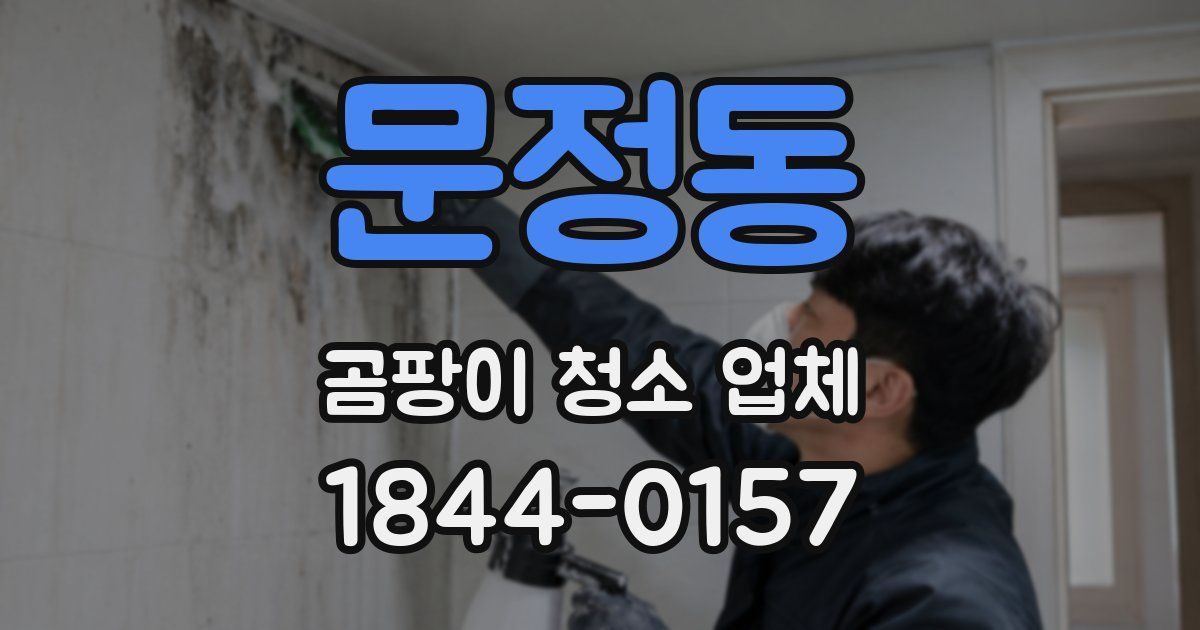 문정동 곰팡이 청소 업체