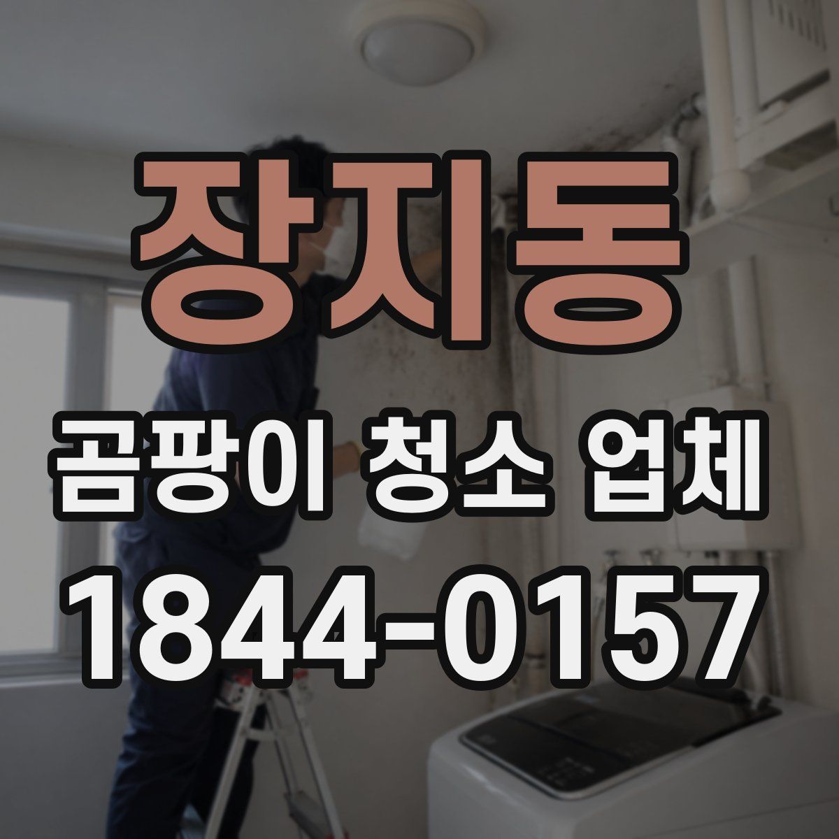 장지동 곰팡이 청소 업체