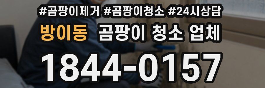 방이동 곰팡이 청소 업체