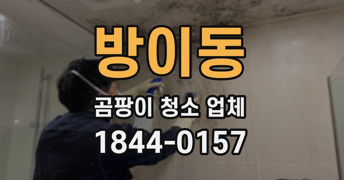 방이동 곰팡이 청소 업체