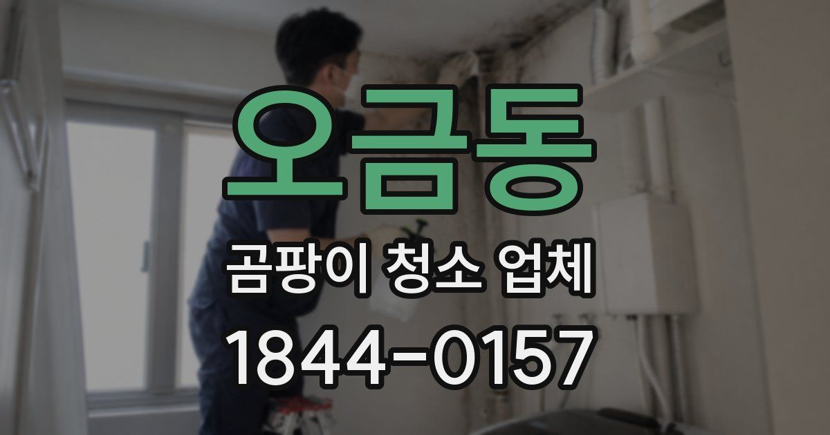 오금동 곰팡이 청소 업체