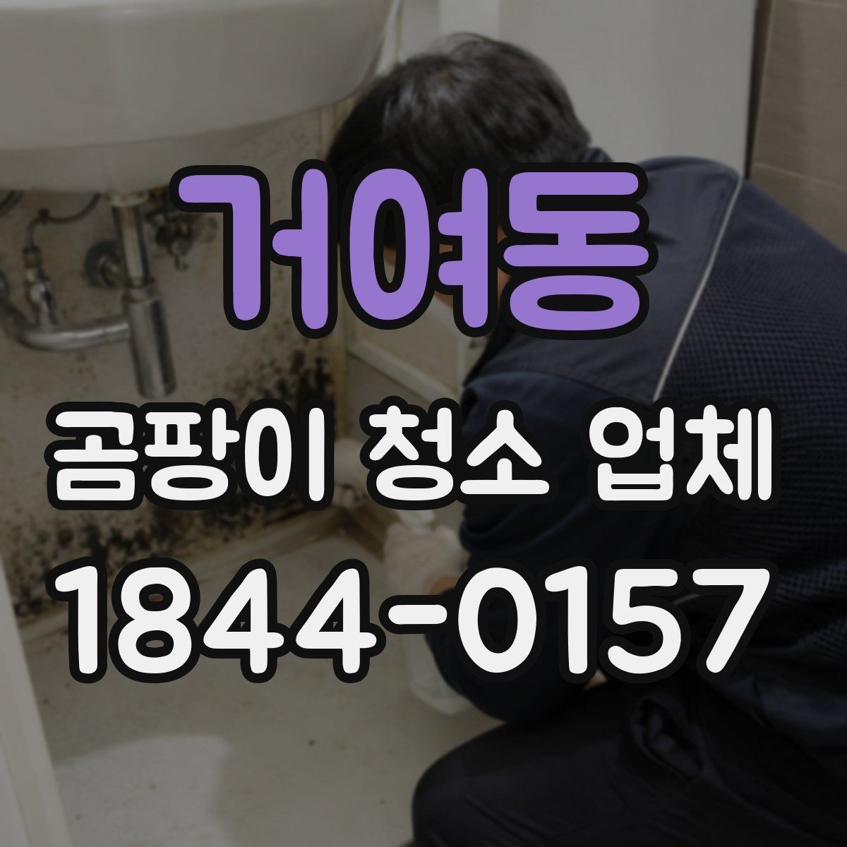 거여동 곰팡이 청소 업체 벽면 손상 없이 처리하려면 살펴야 할 점