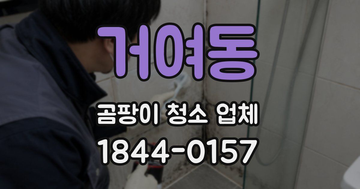 거여동 곰팡이 청소 업체
